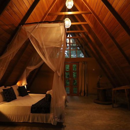Cinnamon Paradise آهانغاما المظهر الخارجي الصورة