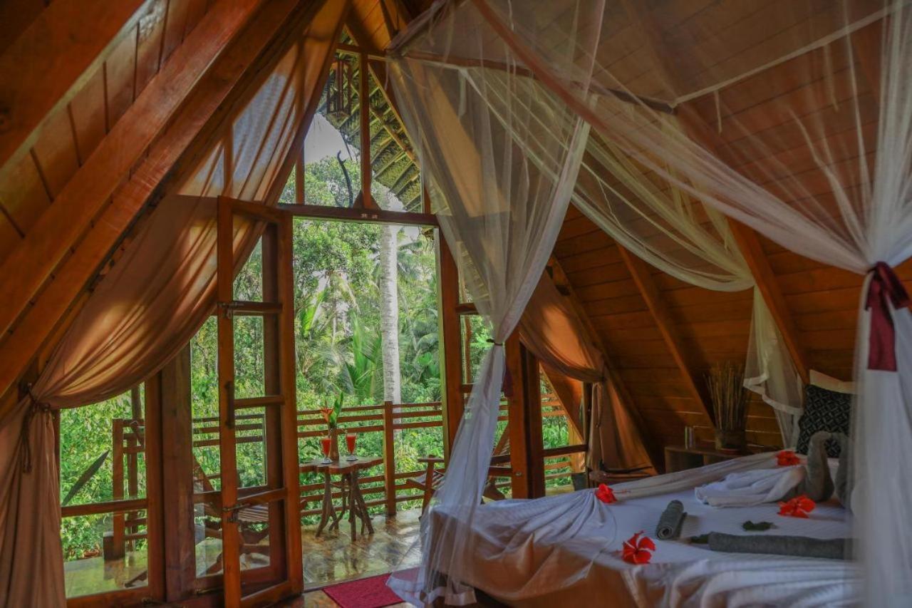 Cinnamon Paradise آهانغاما المظهر الخارجي الصورة