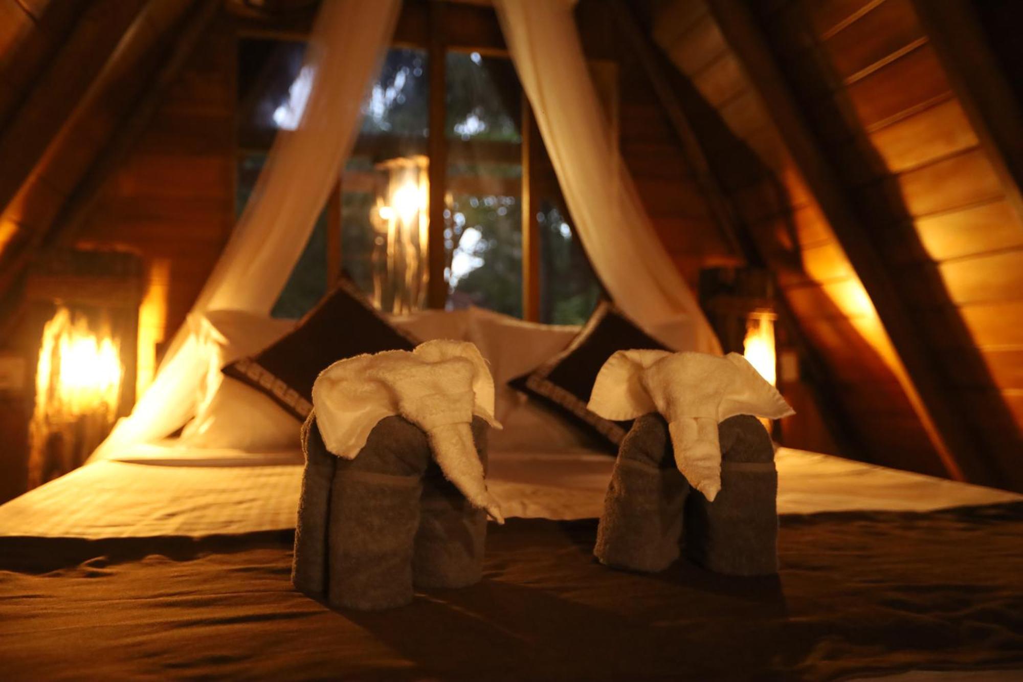 Cinnamon Paradise آهانغاما المظهر الخارجي الصورة