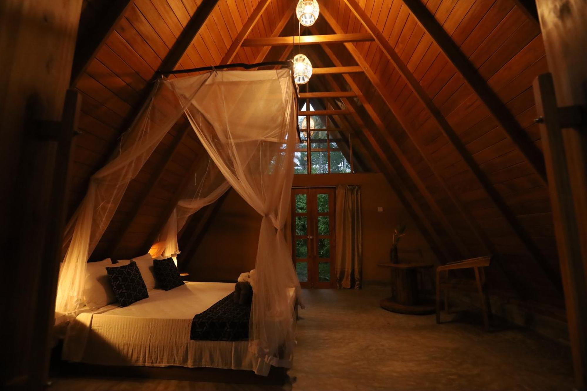 Cinnamon Paradise آهانغاما المظهر الخارجي الصورة
